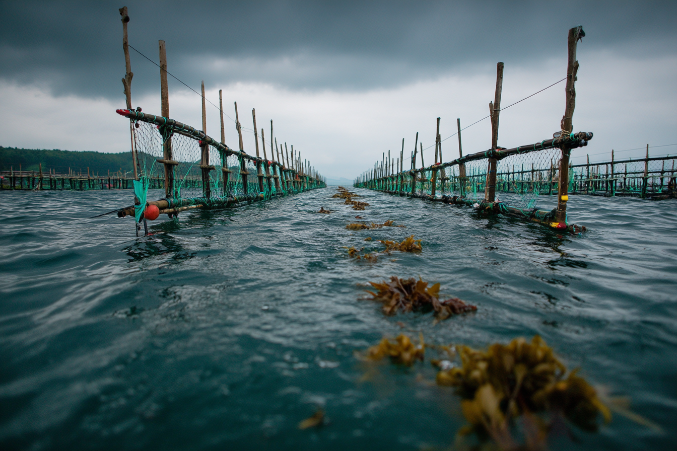 im1979_Ocean_Farming_The_Sustainable_Food_Frontier._Exploring_6741b8c7-9527-4c14-a094-03620d4b9116_1