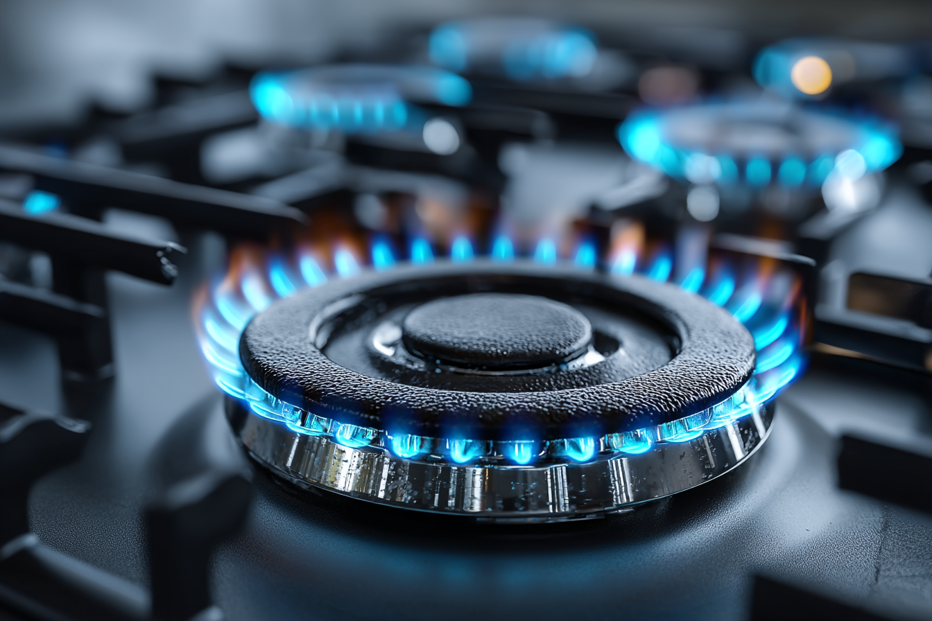 im1979_Phasing_Out_Natural_Gas_The_Transition_to_All-Electric_908e7c9f-ae15-4f25-abe3-a5871660df0b_0