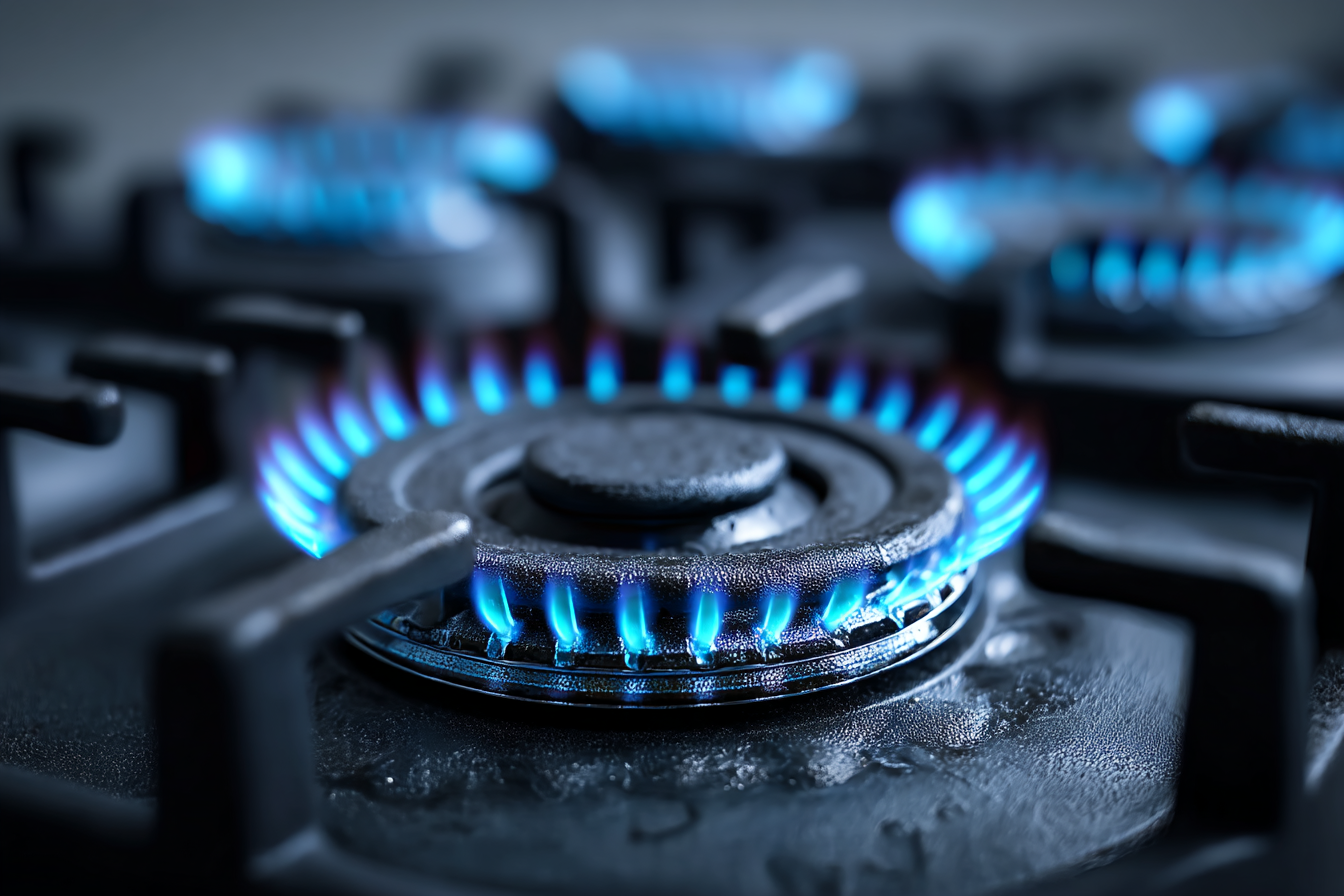 im1979_Phasing_Out_Natural_Gas_The_Transition_to_All-Electric_ba728ab9-9098-4c86-a2e3-aa078a4f943f_0
