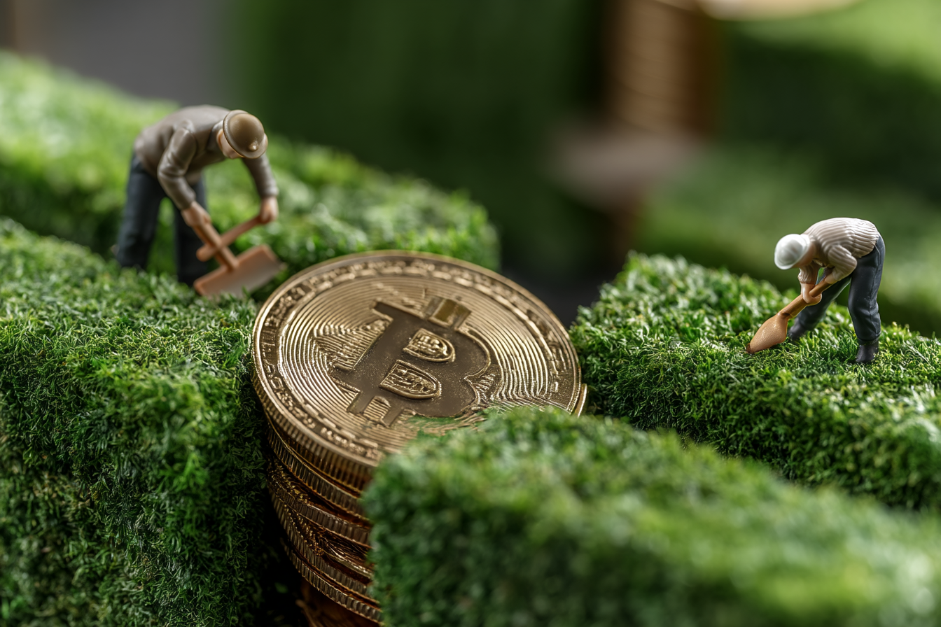 im1979_The_True_Environmental_Impact_of_Cryptocurrencies_Prob_307a6bea-7366-4272-bc8b-581108f2757c_1